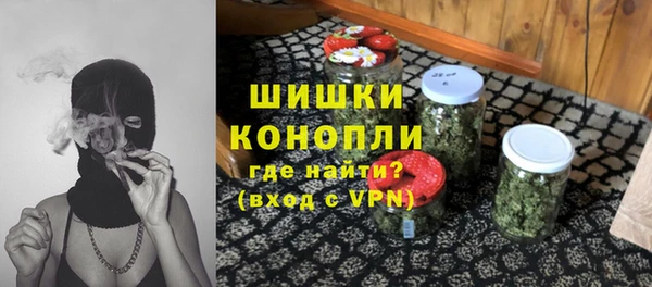 соль ск Бронницы