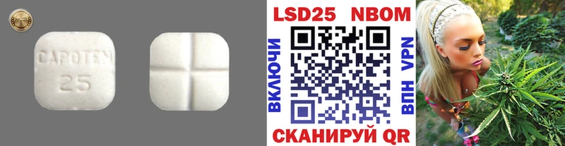 купить закладку  Гдов  МЕГА зеркало  LSD-25 экстази ecstasy 