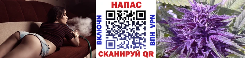 Бошки Шишки сатива  ссылка на мегу ССЫЛКА  Гдов  где можно купить наркотик 